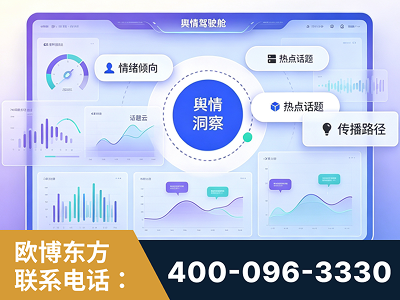 瑞安-品牌舆情分析
