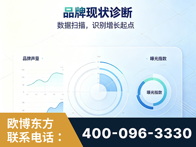 瑞安-品牌现状诊断