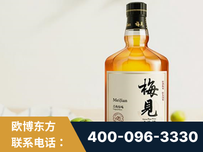 瑞安-梅见青梅酒